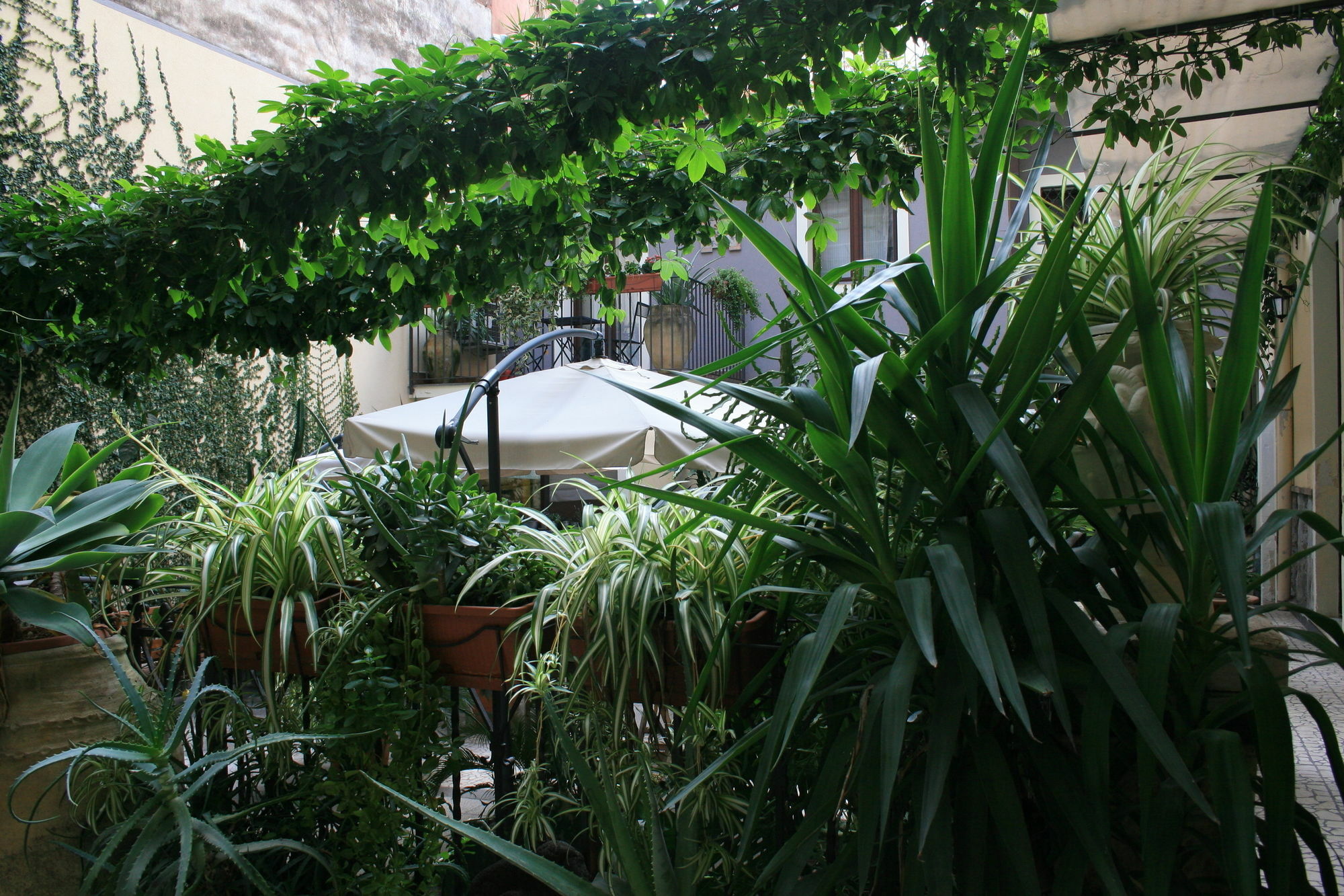 Casa Barbero Charme B&B Κατάνια Εξωτερικό φωτογραφία